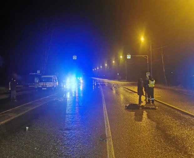 В ДТП у п. Бородинское Поле погибли двое пешеходов
