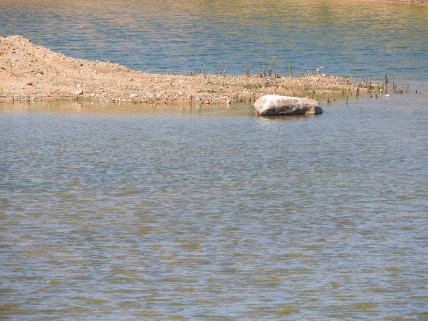 В Можайском округе почистят берег реки Исконы