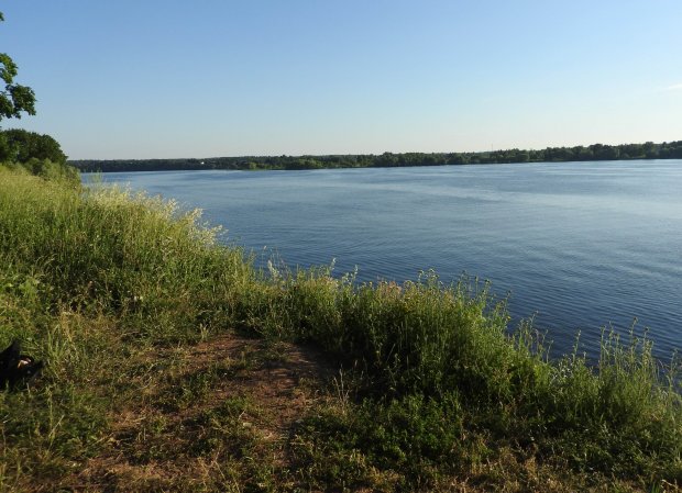 В дачном посёлке на берегу Можайского водохранилища выявили загрязнение сточными водами