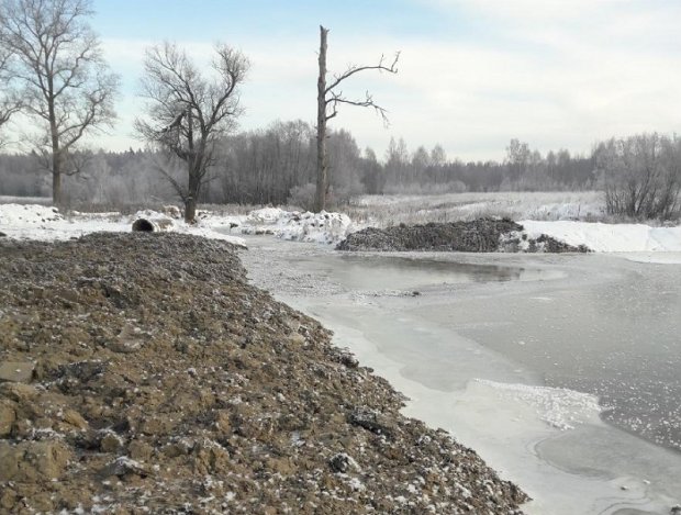 Прокуратура проверит факт незаконной расчистки реки Талица под Можайском