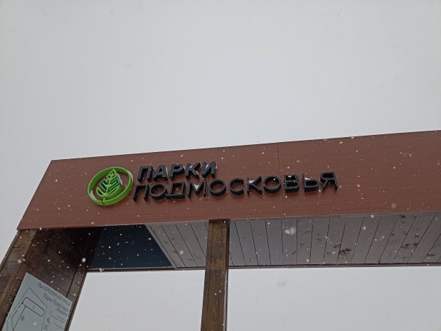 На обслуживание уличного освещения в парке «Ривьера» в Можайске потратят 2 млн рублей