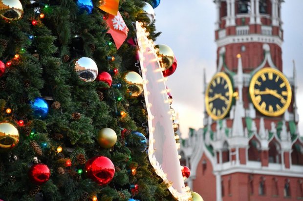 Можайская елка на Новый год в Москву не поедет