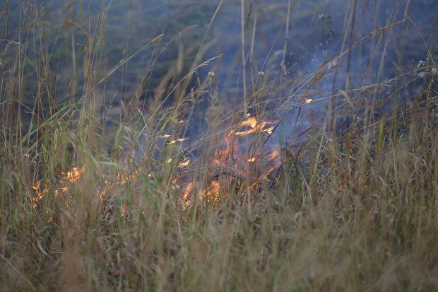 В Можайском округе начали готовиться к пожароопасному сезону 