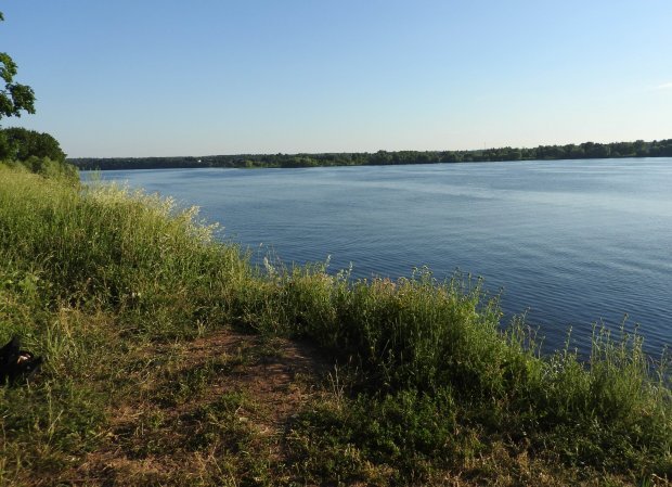Экологическая акция «Вода России 2024» пройдет в Можайском округе