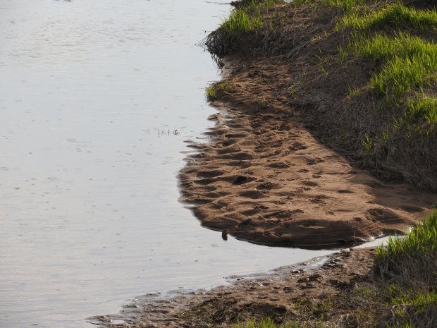 Третий этап экологической акции «Вода России 2024» пройдет в Можайске 