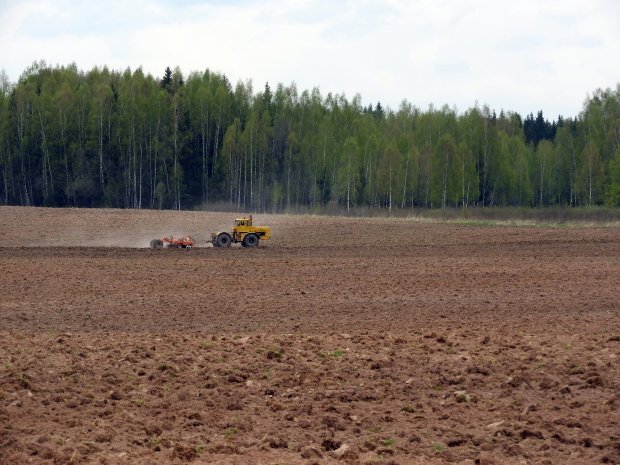 Можайск стал лидером по числу введенных в оборот неиспользуемых земель